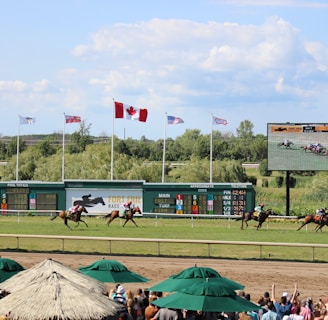 A horse racing event is taking place on a sunny day, with a racecourse surrounded by greenery. Several horses with jockeys are actively racing across the track. Spectators are gathered under shaded canopies in the foreground. Multiple flags, including a prominent Canadian flag, are flying above a scoreboard, and a large screen displays the race.