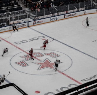 An ice hockey game is underway in an indoor arena with players actively engaged in the sport. Spectators are seated in the stands, while some areas appear sparse. The rink features a large logo at center ice, and electronic advertisements surround the perimeter.